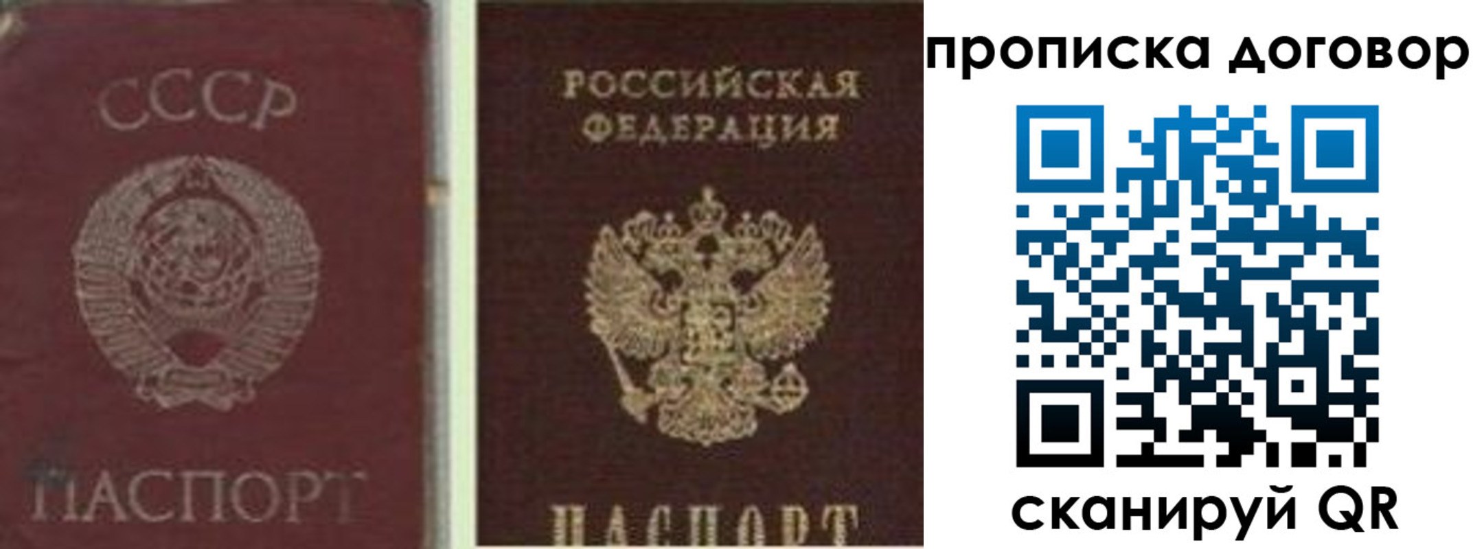 прописка гарантия в Ершове